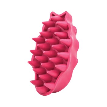 KONG Brosse ZoomGroom Framboise