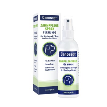 Canosept Spray Hygiène Dentaire 100ml